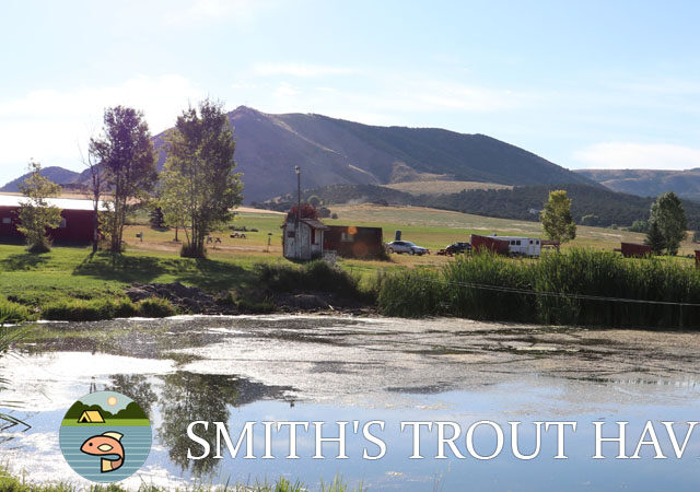 Smith's Trout Haven Campground