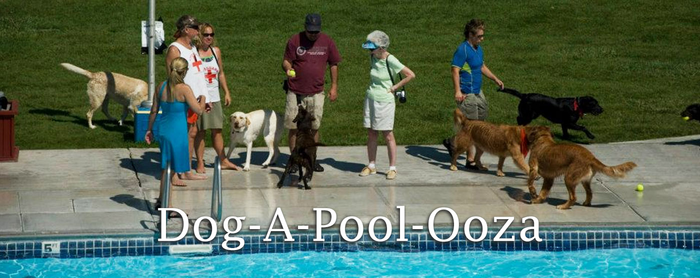 Dog-A-Pool-Ooza at theLava Foundation Olympic Swimming Complex in Lava Hot Springs Idaho