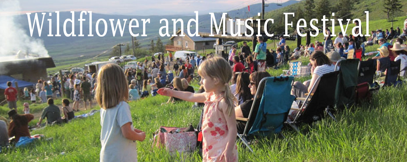 Wildflower and Music Festival in Inkom Idaho