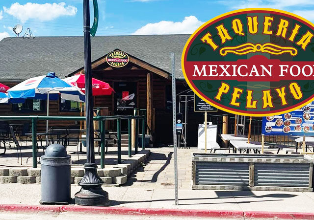 Taqueria Pelayo Mexican Food