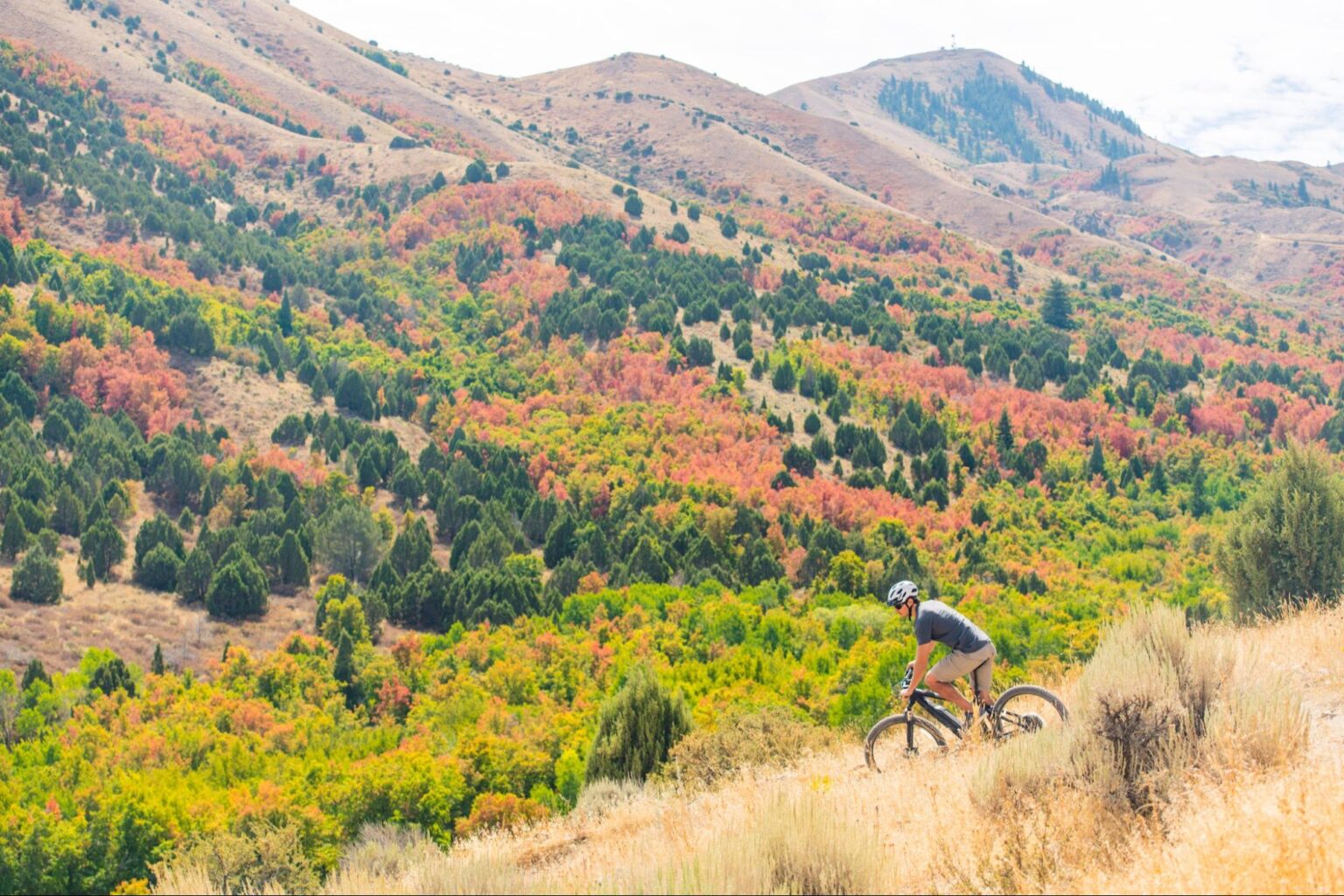 Lava Hot Springs Recreation Events Lodging Businesses Chamber of