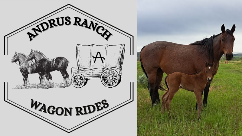 Andrus Ranch Wagon Rides